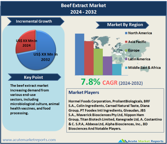 Beef Extract Market