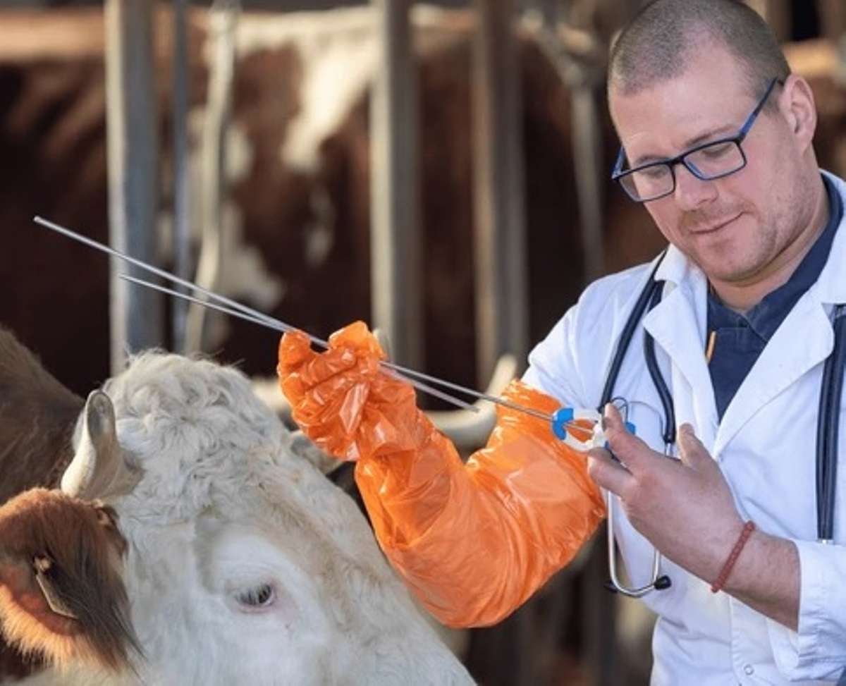 bovine-artificial-insemination-market