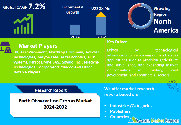 Earth Observation Drones Market