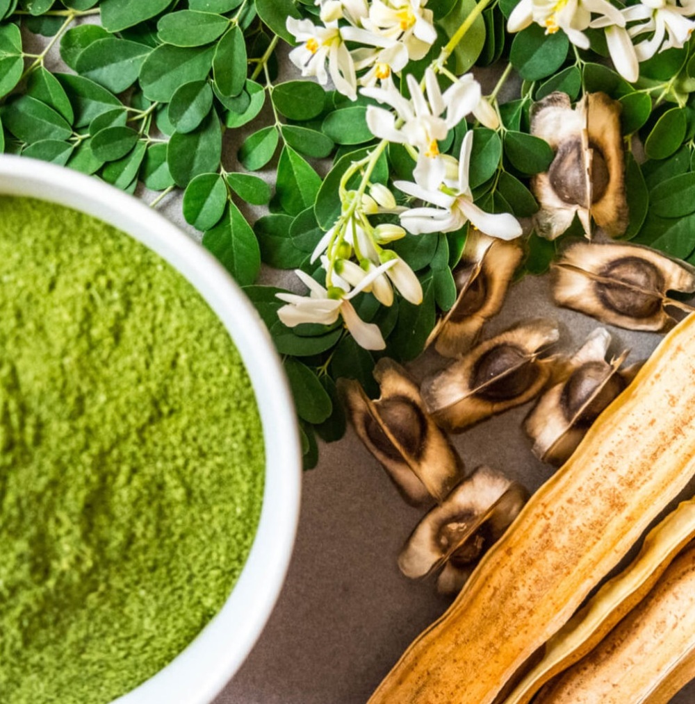 moringa-ingredients-market