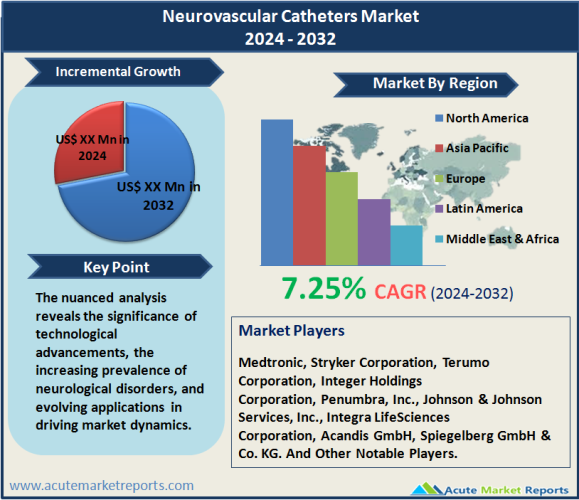 Neurovascular Catheters Market