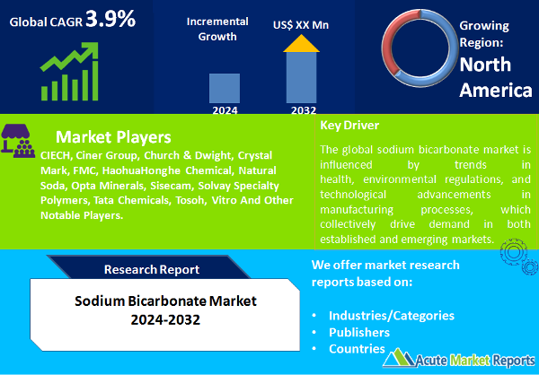 Sodium Bicarbonate Market