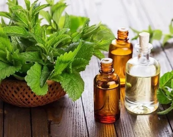 synthetic-mentha-oil-market