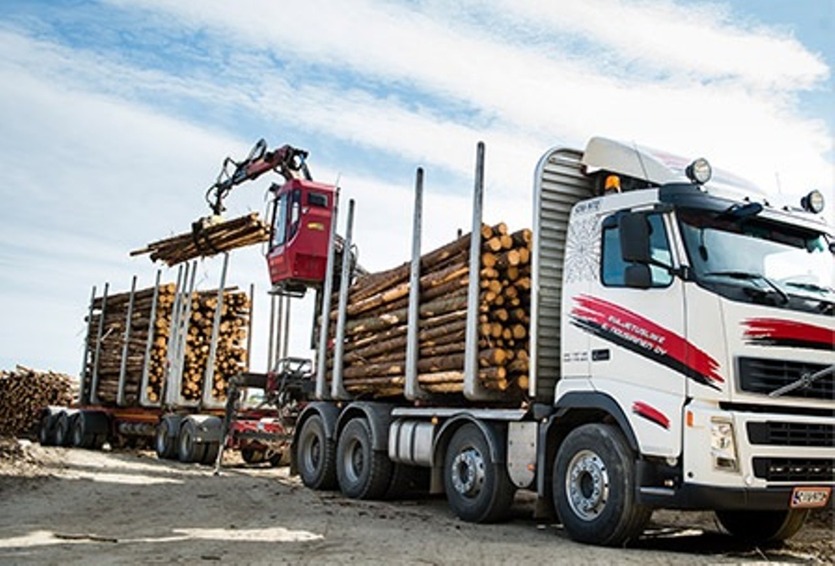 timber-logistics-market